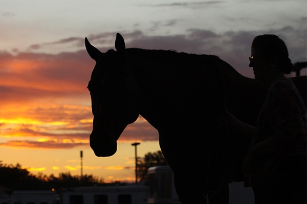 AQHA Rolls Out New System- DocuSign