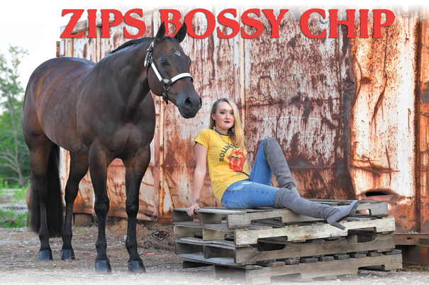 The Most Points Ever! – Zips Bossy Chip Makes History