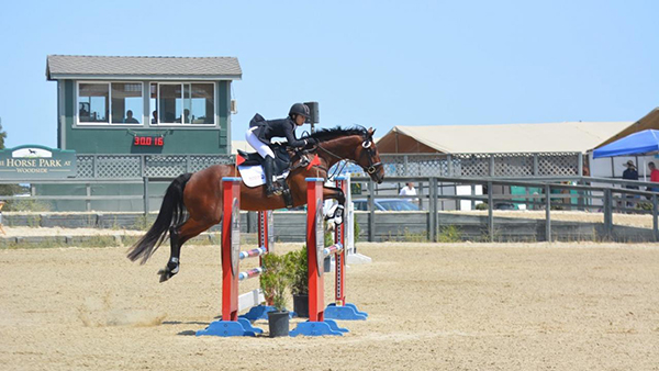 Returning to High Level Competition After Colic Surgery