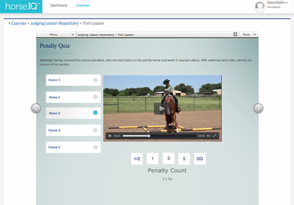 Learn How Classes are Judged With APHA’s HorseIQ