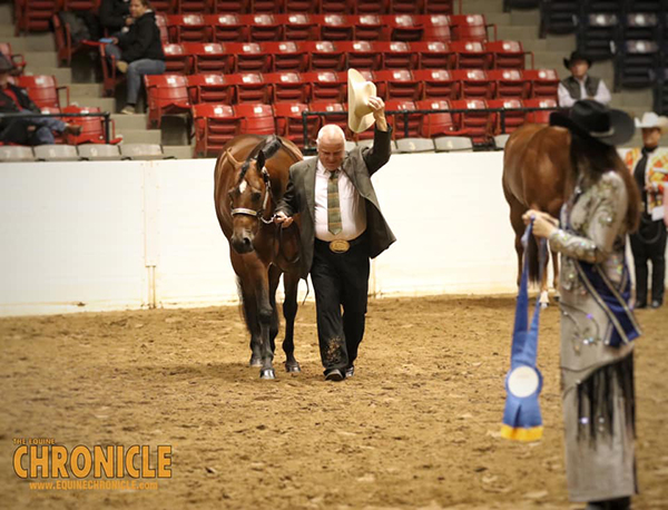 2019 QH Congress- Am Halter Mares