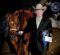 A Horseman’s Horseman – Jeffrey Pait A Horseman’s Horseman – Jeffrey Pait