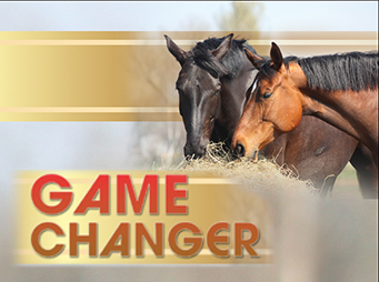 Game Changer – Researcher Employs Drug-Free  Estrus Suppression For Mares