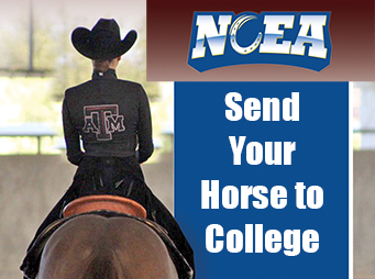 NCEA – Send Your Horse To College