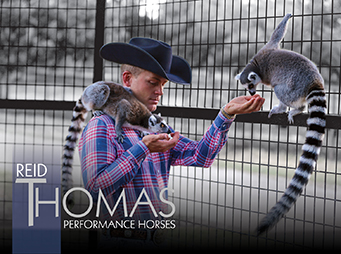 Reid Thomas Performance Horses – Not Your Average Horse Trainer