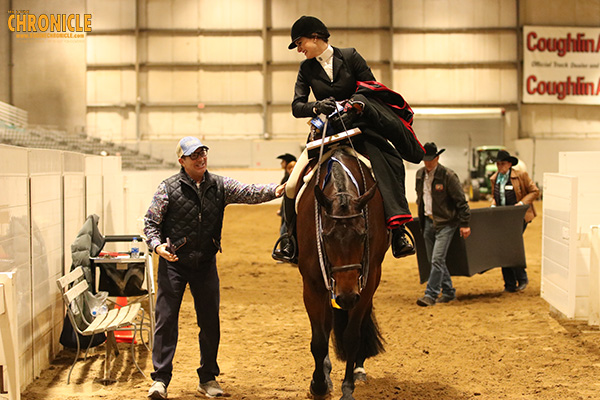 2019 QH Congress- Amateur Equitation