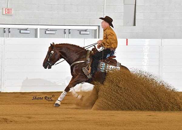 Reining Futurity Finals Pack Stands at 2019 QH Congress
