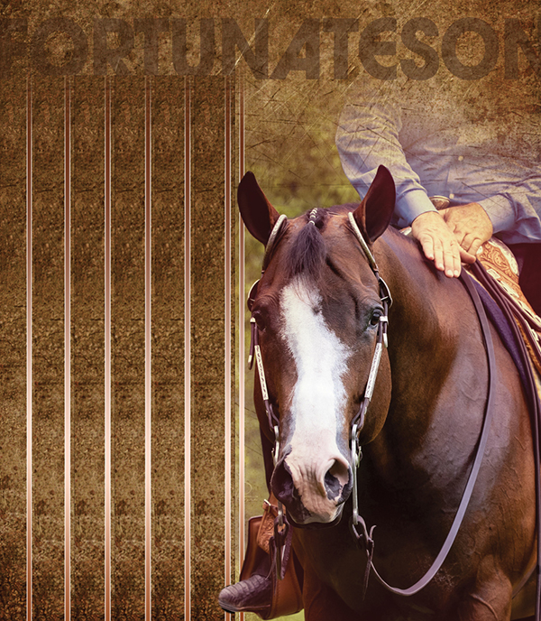 Sea Ridge Farms Proudly Introduces AQHA Stallion – Fortunateson