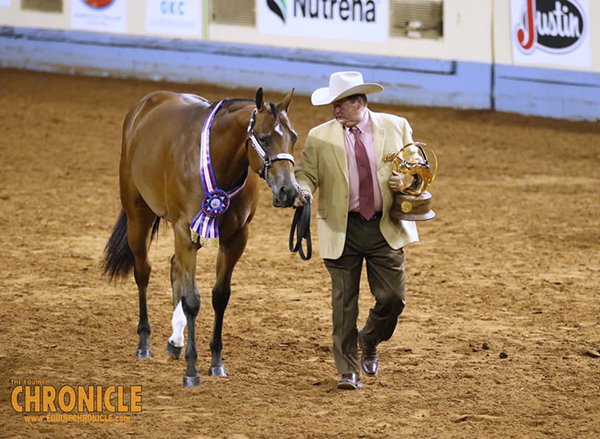 2019 AQHA World- Open Halter