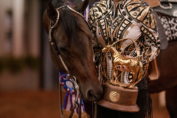 Qualifying For 2020 AQHA World Championship Shows