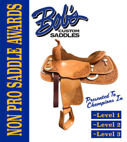 2020 Sun Circuit to Award Saddles to Level 1, 2, and 3 Non Pro High Point Champions