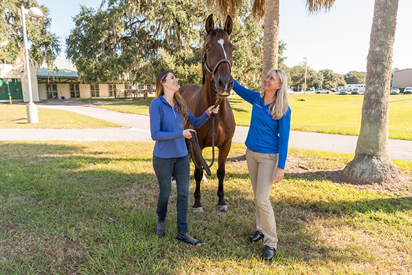 Horse Survives Aggressive Bacterial Infection to Return to Show Pen