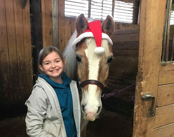 Twas the Night Before Christmas and All Through the Stalls…