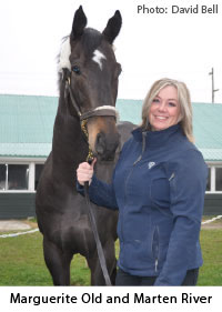 From Corporate Desk Job to Equine Massage