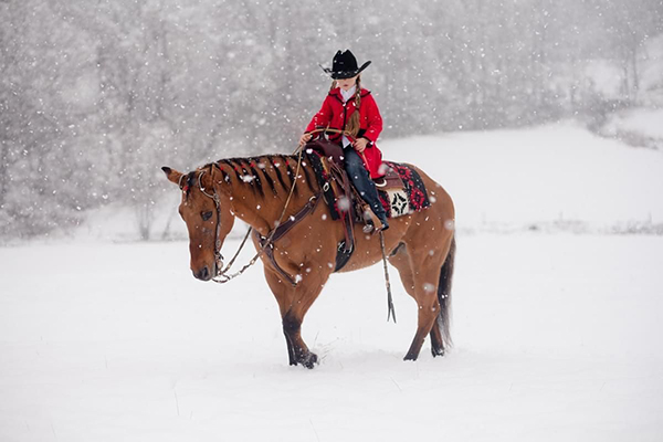 AQHA Riding Hours Deadline- December 31st