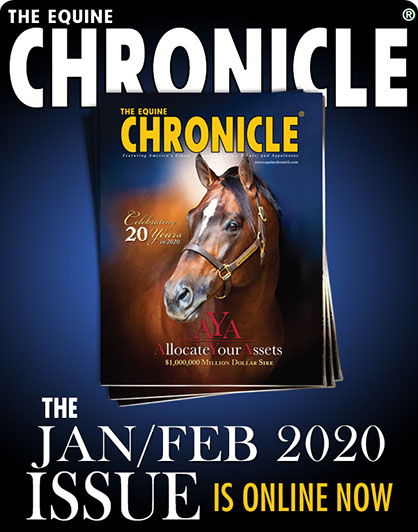 Jan/Feb 2020 Edition of The Equine Chronicle Now Online!