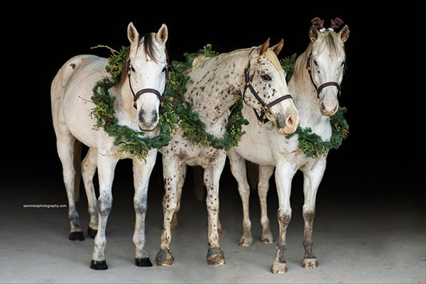 EC Photo of the Day- We Three Kings
