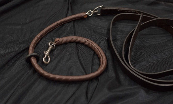 Check Out AQHA’s Newly Approved Safety Lead For Halter- Jan. 1st, 2020