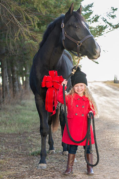 EC Photo of the Day- Ready For Christmas!