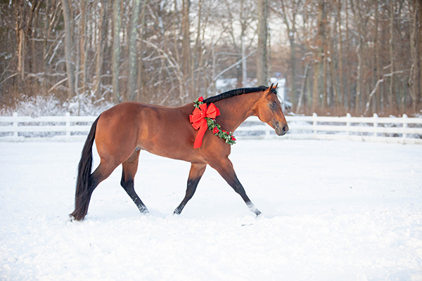 EC Photo of the Day- Winter Wonderland