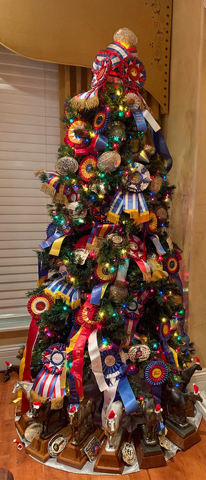 EC Photo of the Day- “Award” For the Best Decorated Christmas Tree