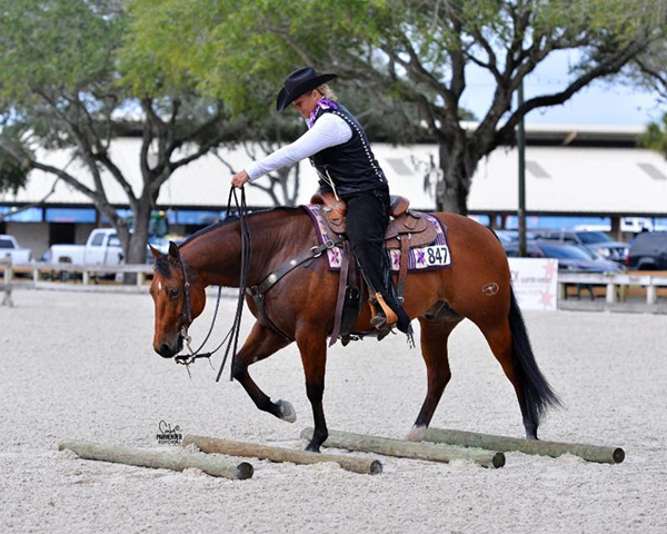 Around the Rings- 2019 Florida Gold Coast