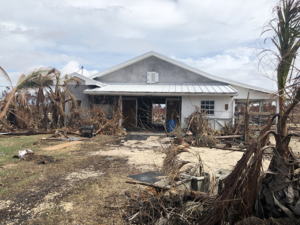 Florida Nonprofit Helps Bahamas Farm Struck by Hurricane Dorian Rebound