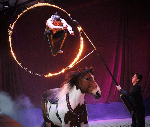 Fantasia, Night of the Dancing Horses, Coming to Ohio in April