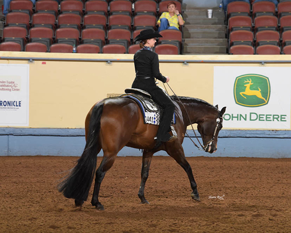 Everything You Need to Know About AQHA Level 1 Championships