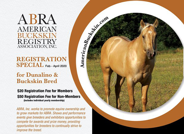 ABRA Registration Special For Newly Added Duanlino and Buckskin Bred Horses
