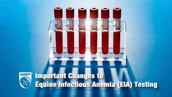 New Requirements For Equine Infectious Anemia Testing