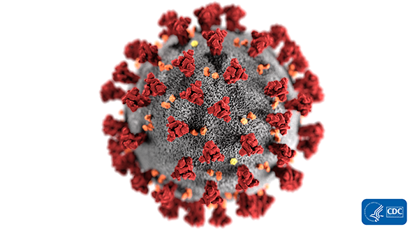 Why “Coronavirus” is Different than Equine Coronavirus