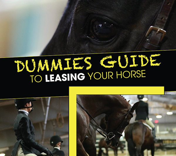 Dummies Guide to Leasing Your Horse