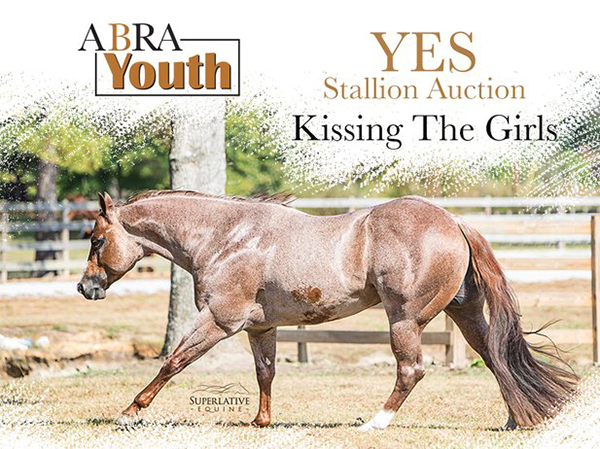 ABRA Youth YES Stallion Auction
