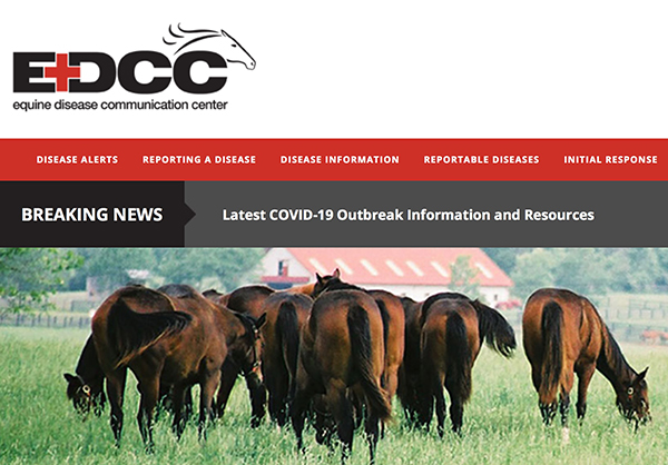 Equine Disease Communication Center Launches Equine Coronavirus and COVID-19 Resources 