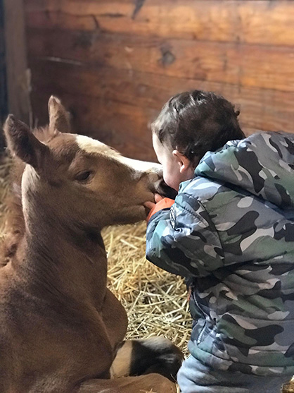 EC TV- Horse Kisses are the Best