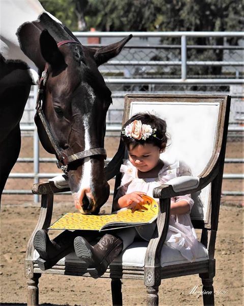 EC Photo of the Day- Story Time