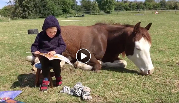 EC TV- A Horsey Bedtime Story