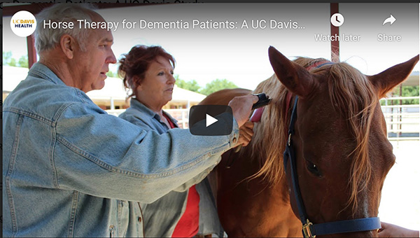 Equine Therapy Helps Dementia Patients