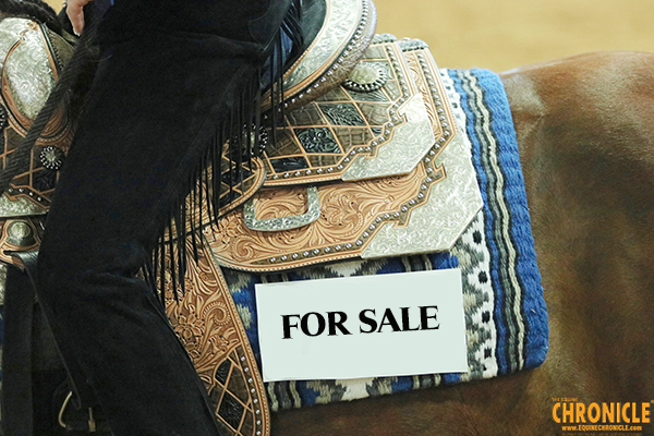 Consignment Deadline For Triangle Fall Sale at AQHA World Fast Approaching