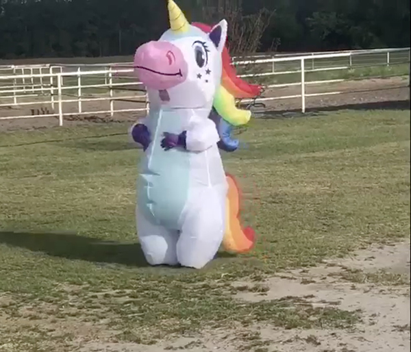 EC TV- Quarantine Unicorn to the Rescue