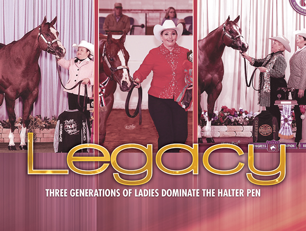 Legacy – Three Generations of Ladies Dominate the Halter Pen