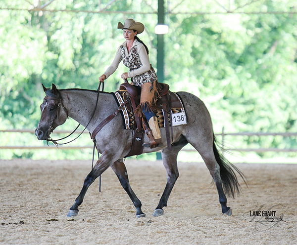 Shop Horses During Quarantine in Two May Online Auctions