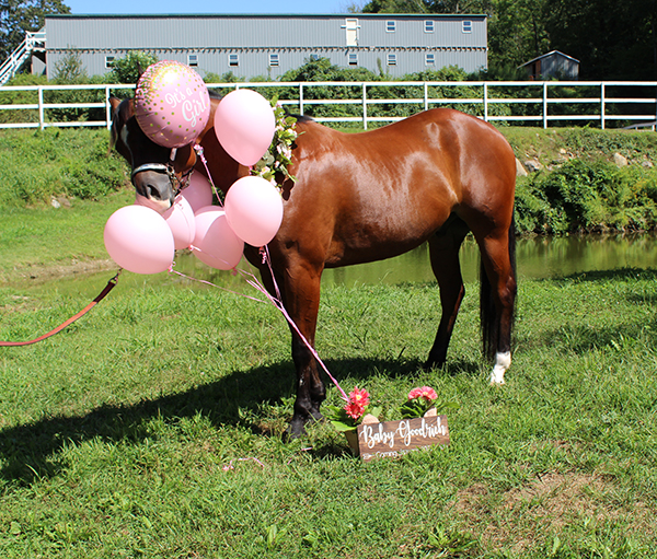 EC Photo of the Day- Gender Reveal Gone Wrong