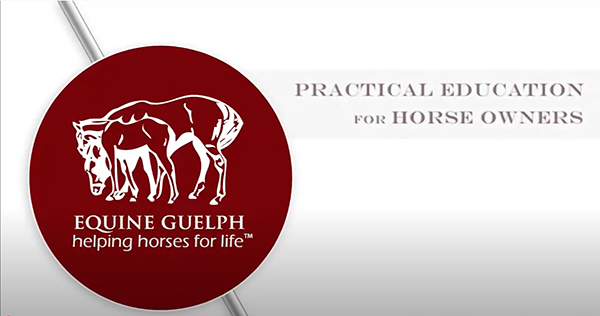 Lameness Research and Prevention Tips with Dr. Judith Koenig at OVC