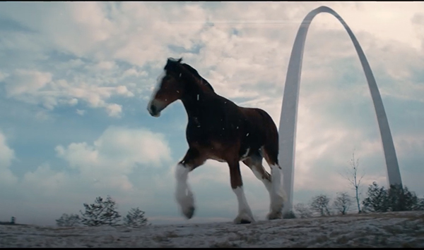 Budweiser Clydesdale Video- Together We Will Run Again