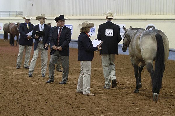 Judges For 2020 AQHA Youth World; Level 1 Classes Added