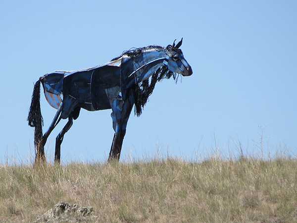 EC Photo of the Day- The Bleu Horses