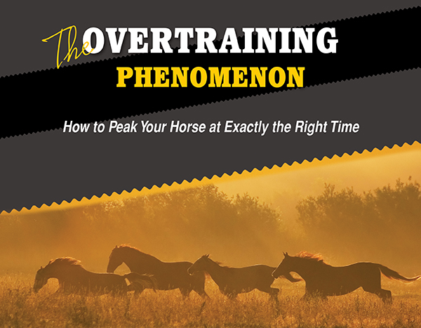 The Overtraining Phenomenon – How to Peak Your Horse at Exactly the Right Time