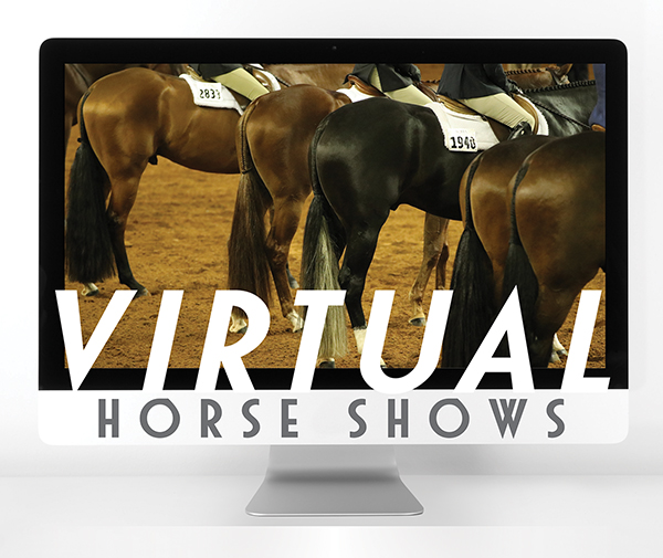 Virtual Horse Shows Offer New Opportunities Amid Uncharted Territory